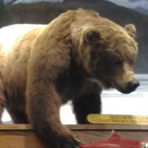 Meet your Posher, Stephen